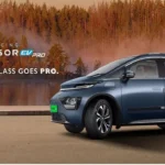 Windsor EV Pro Price