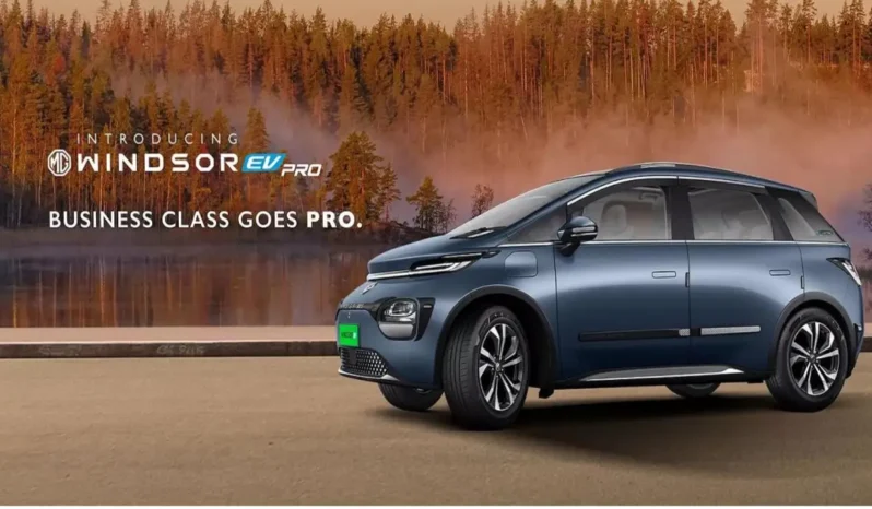 Windsor EV Pro Price