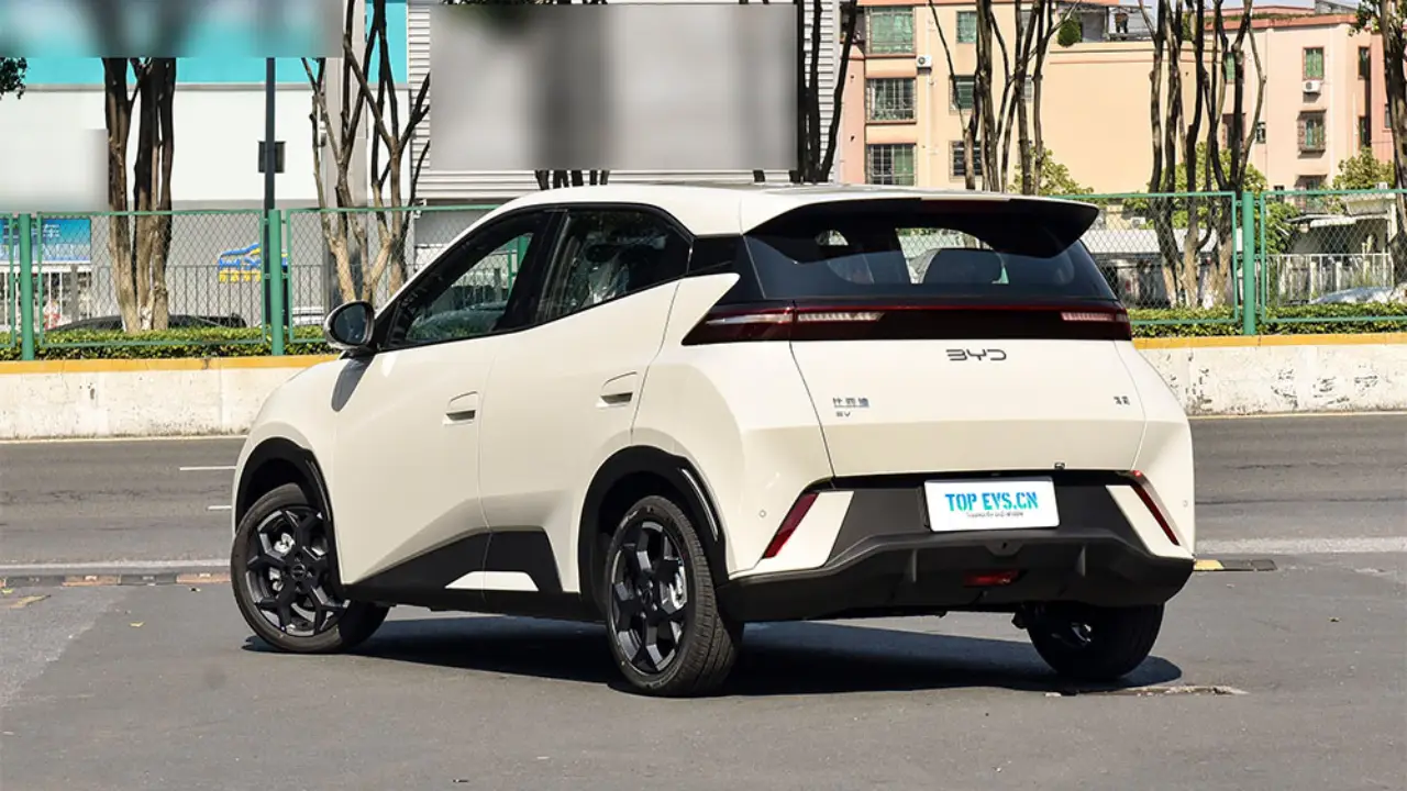 BYD seagull