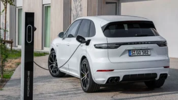 electric cayenne