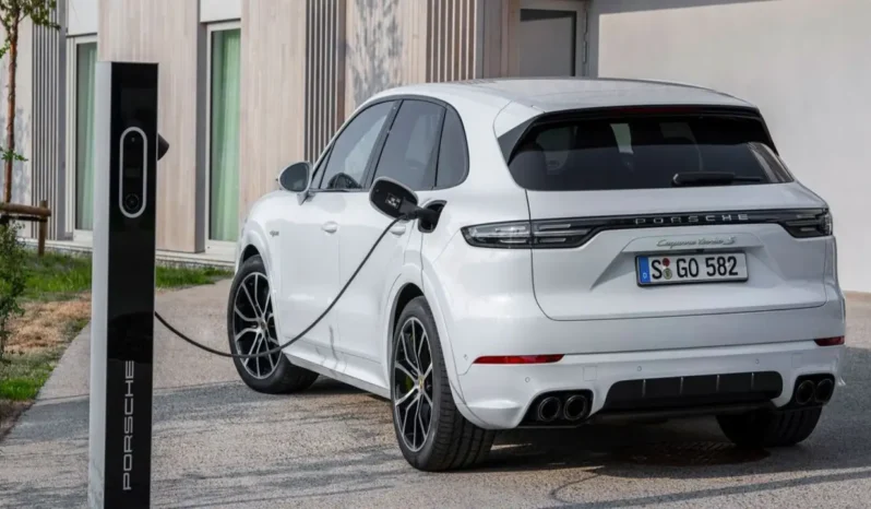 electric cayenne